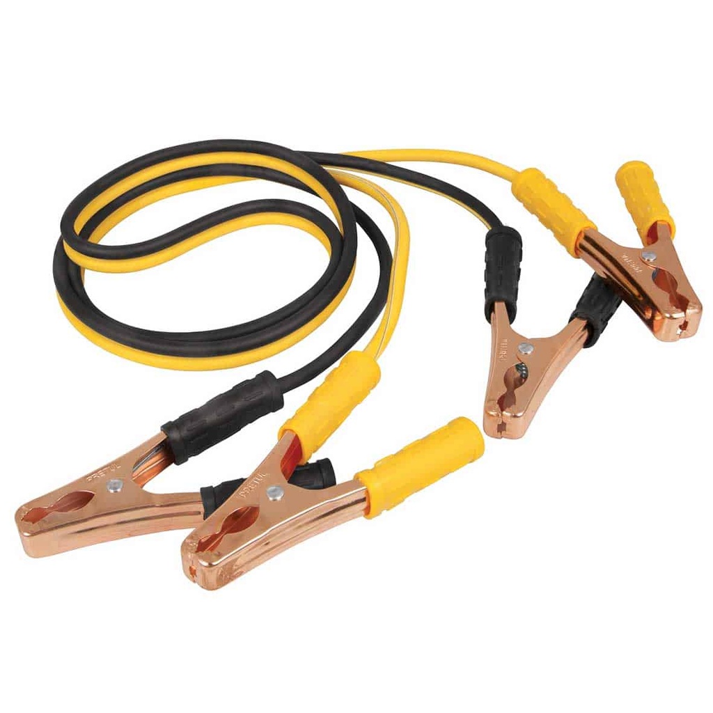 CABLES 10 AWG DE 6.56 PIES P